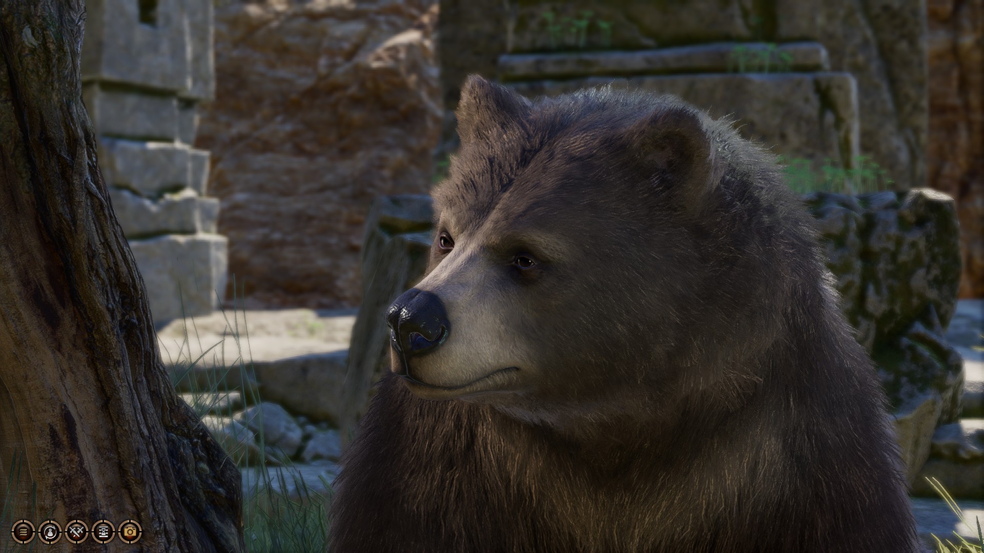 Baldur's Gate 3 bear.